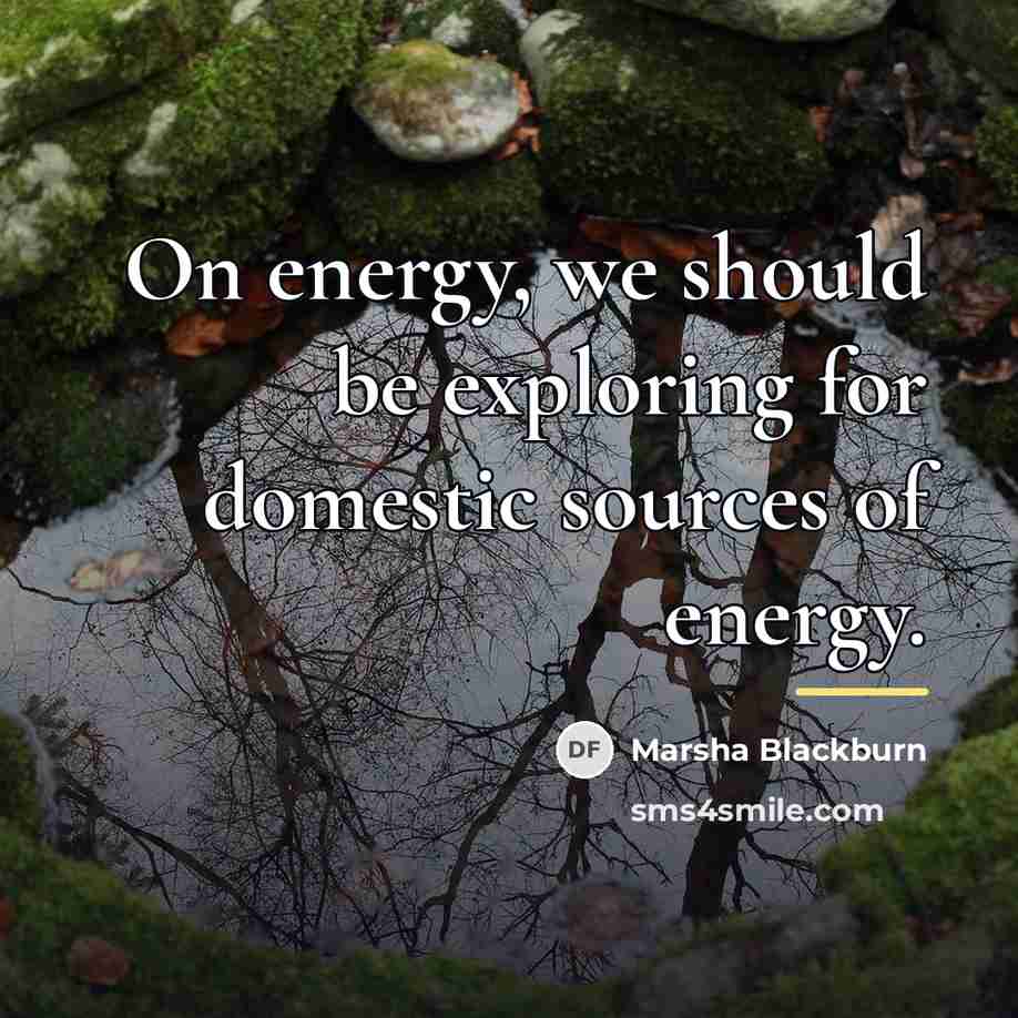 “On energy, we should be exploring for domestic sources of…” quote by Marsha Blackburn