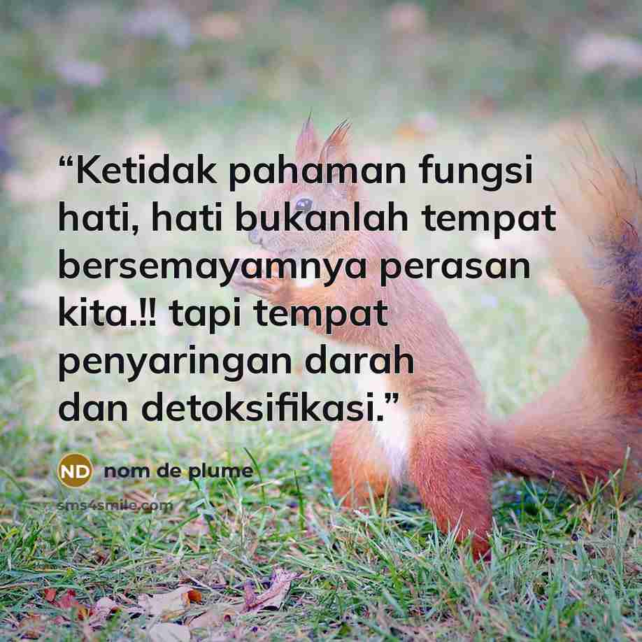 “Ketidak pahaman fungsi hati, hati bukanlah tempat bersemayamnya perasan kita.!! tapi tempat penyaringan darah dan detoksifikasi.” quote by nom de plume