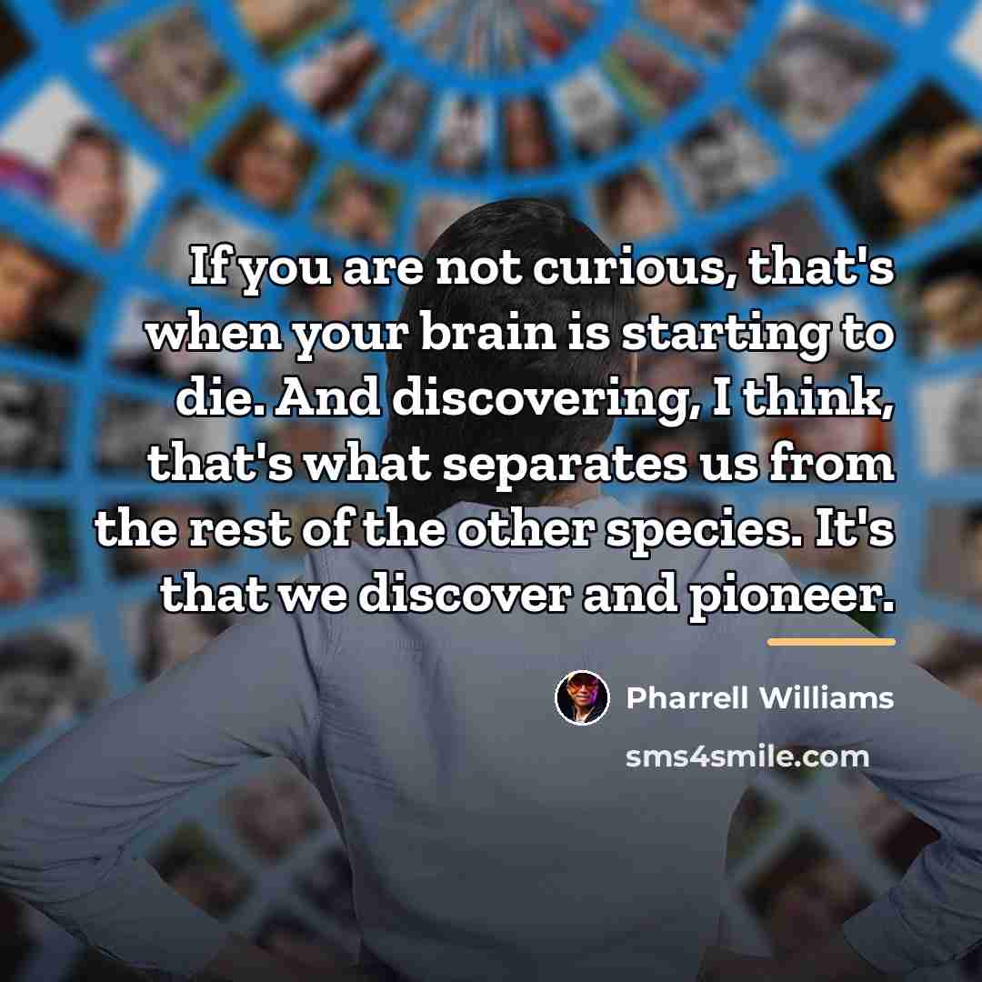 “If you are not curious, that's when your brain is…” quote by Pharrell Williams