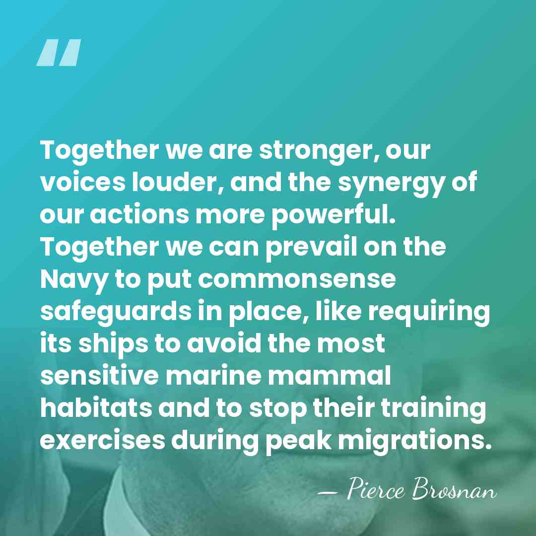 Together we are stronger, our voices louder, and the synergy of our&hellip; - Pierce Brosnan