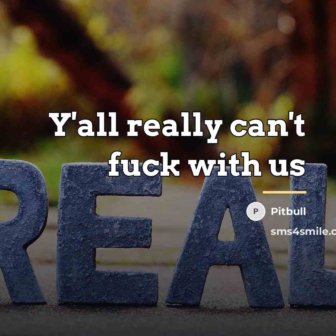 “Y'all really can't fuck with us…” quote by Pitbull