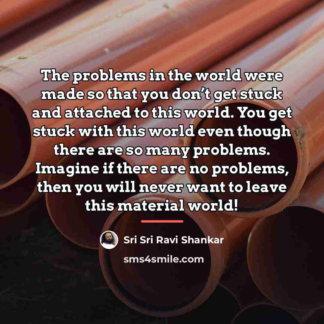 “The problems in the world were made so that you…” quote by Sri Sri Ravi Shankar