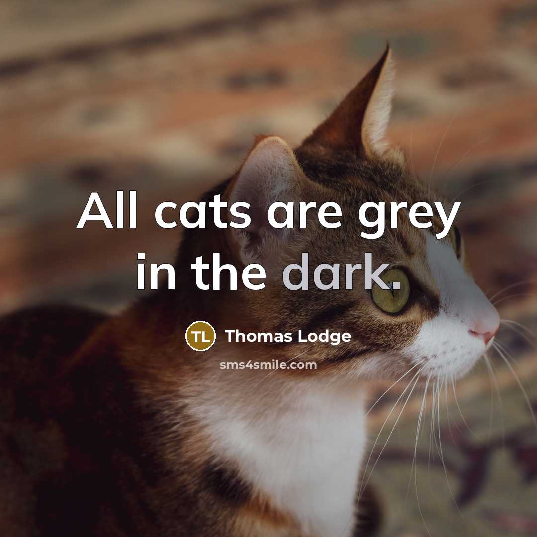 “All cats are grey in the dark.…” quote by Thomas Lodge