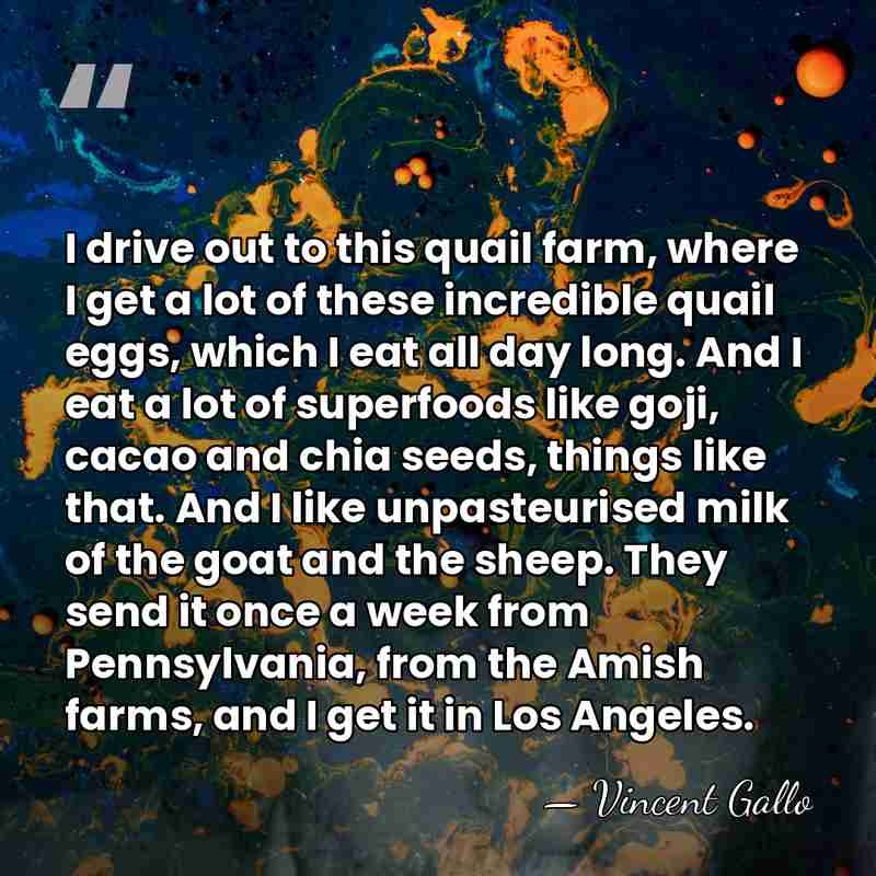I drive out to this quail farm, where I get a lot&hellip; - Vincent Gallo