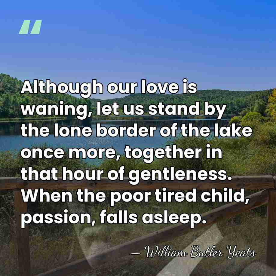 Although our love is waning, let us stand by the lone border&hellip; - William Butler Yeats
