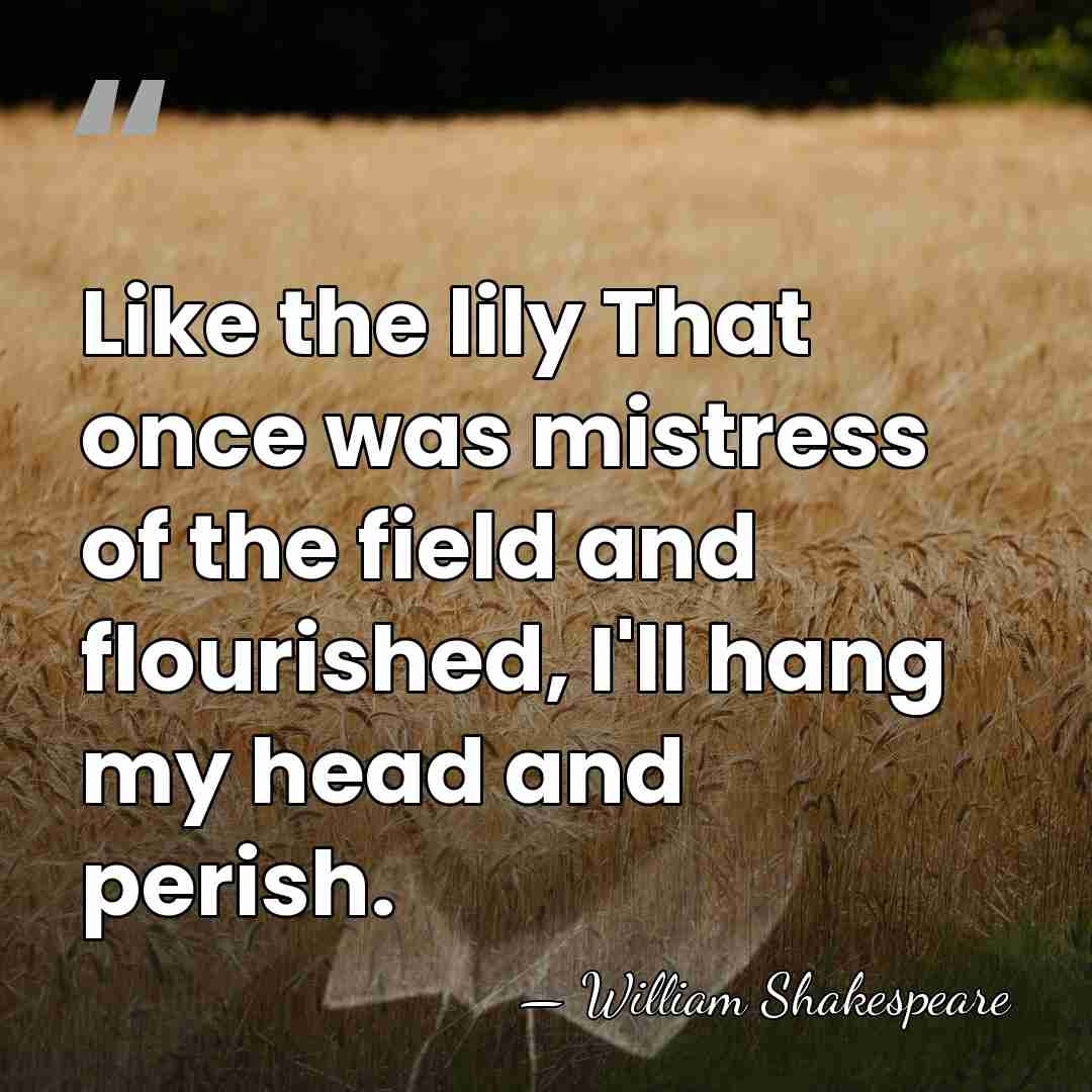 Like the lily That once was mistress of the field and flourished,&hellip; - William Shakespeare