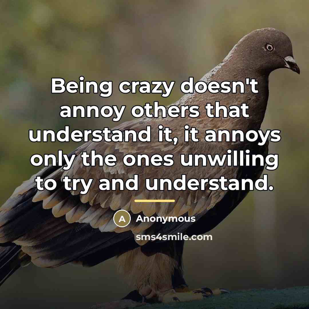 “Being crazy doesn't annoy others that understand it, it annoys…” quote by Anonymous