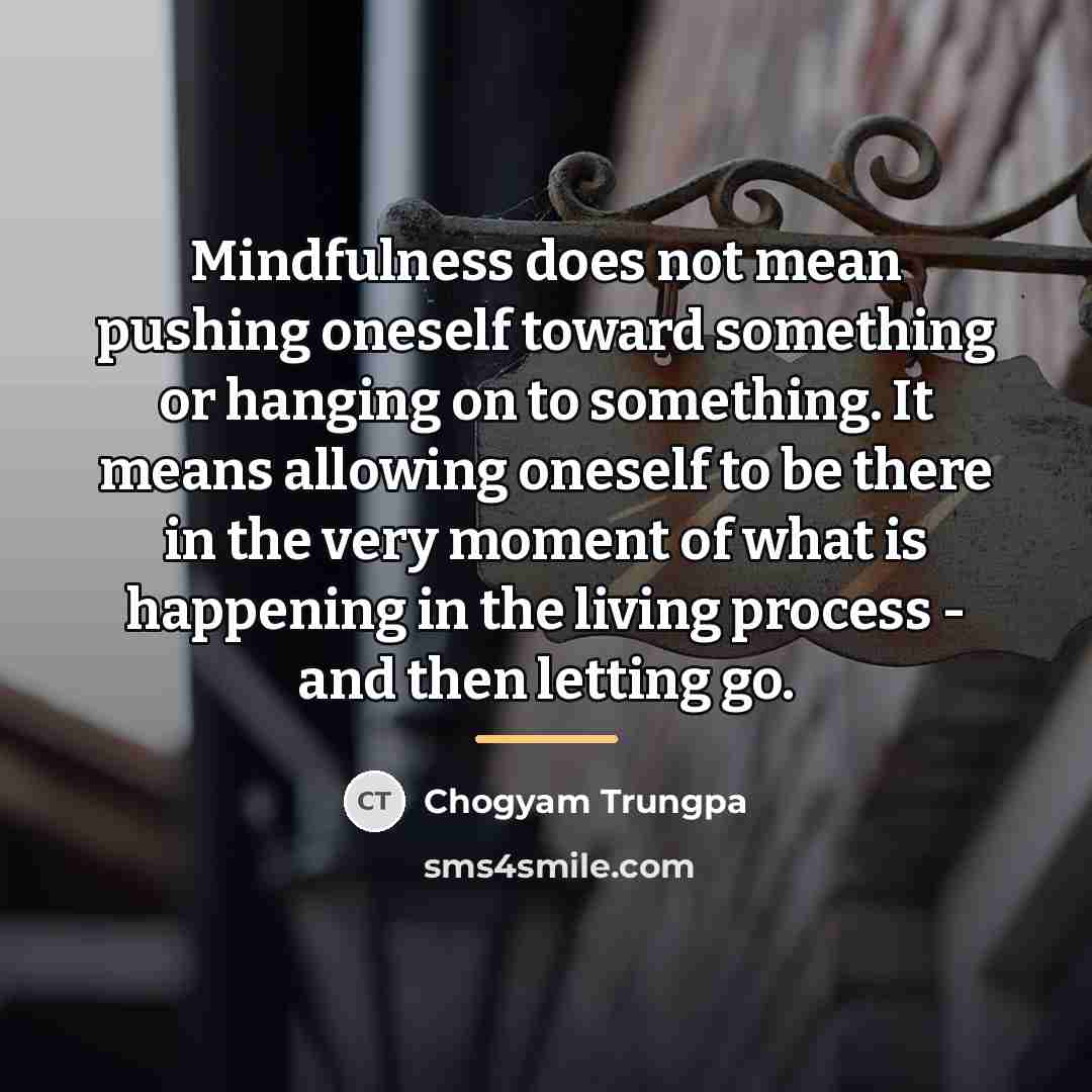 “Mindfulness does not mean pushing oneself toward something or hanging…” quote by Chogyam Trungpa