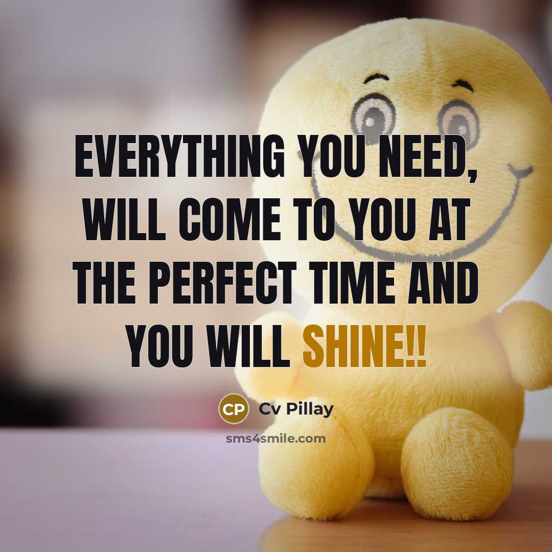 “Everything you need, will come to you at the perfect…” quote by Cv Pillay