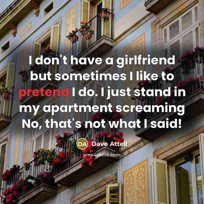 “I don't have a girlfriend but sometimes I like to…” quote by Dave Attell