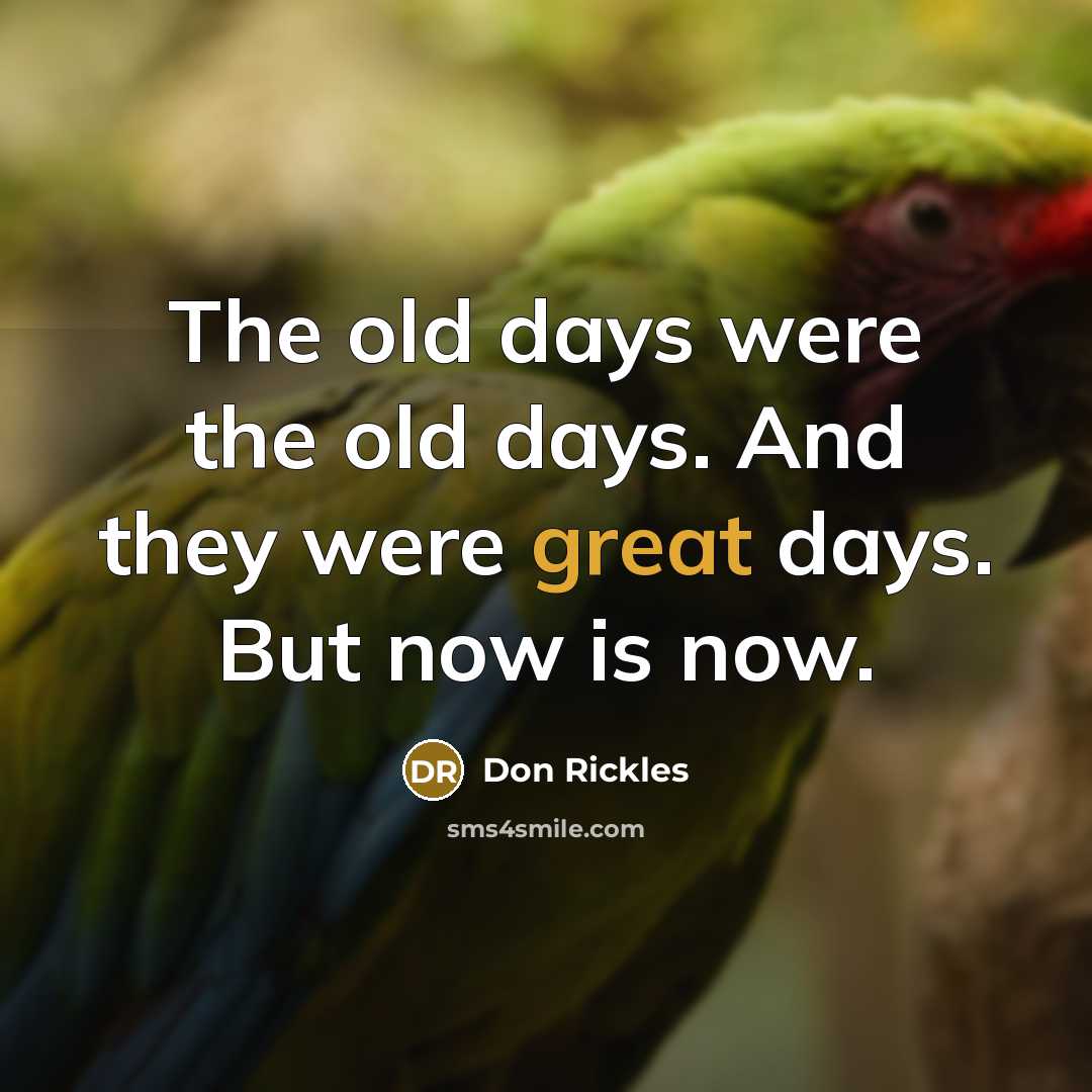 “The old days were the old days. And they were great days. But now is now.” quote by Don Rickles