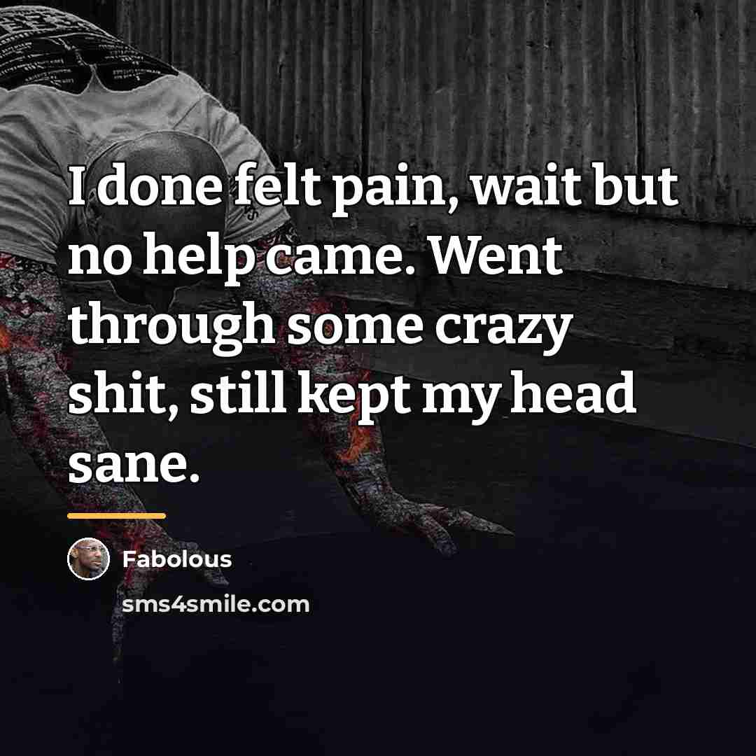 “I done felt pain, wait but no help came. Went…” quote by Fabolous