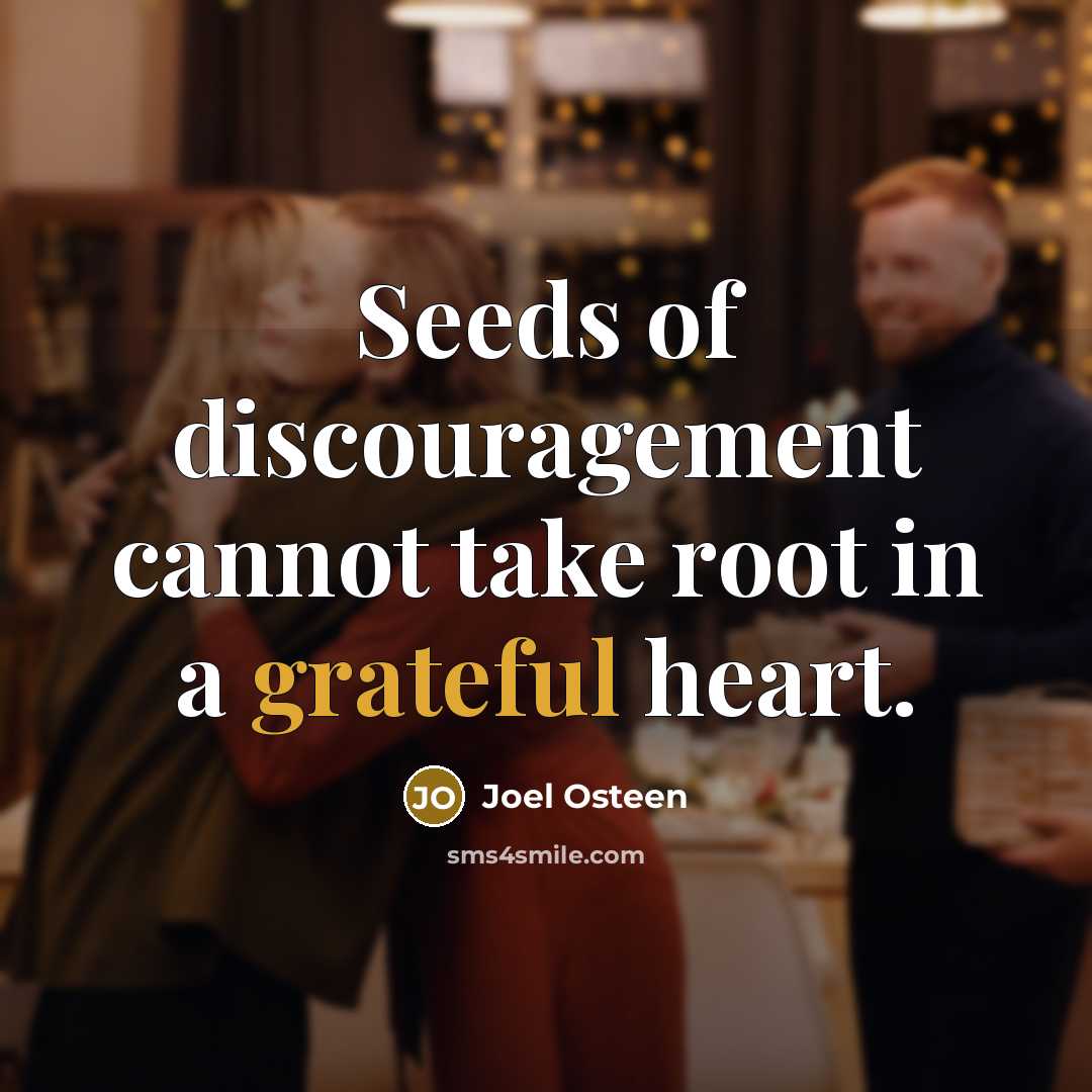 “Seeds of discouragement cannot take root in a grateful heart.…” quote by Joel Osteen
