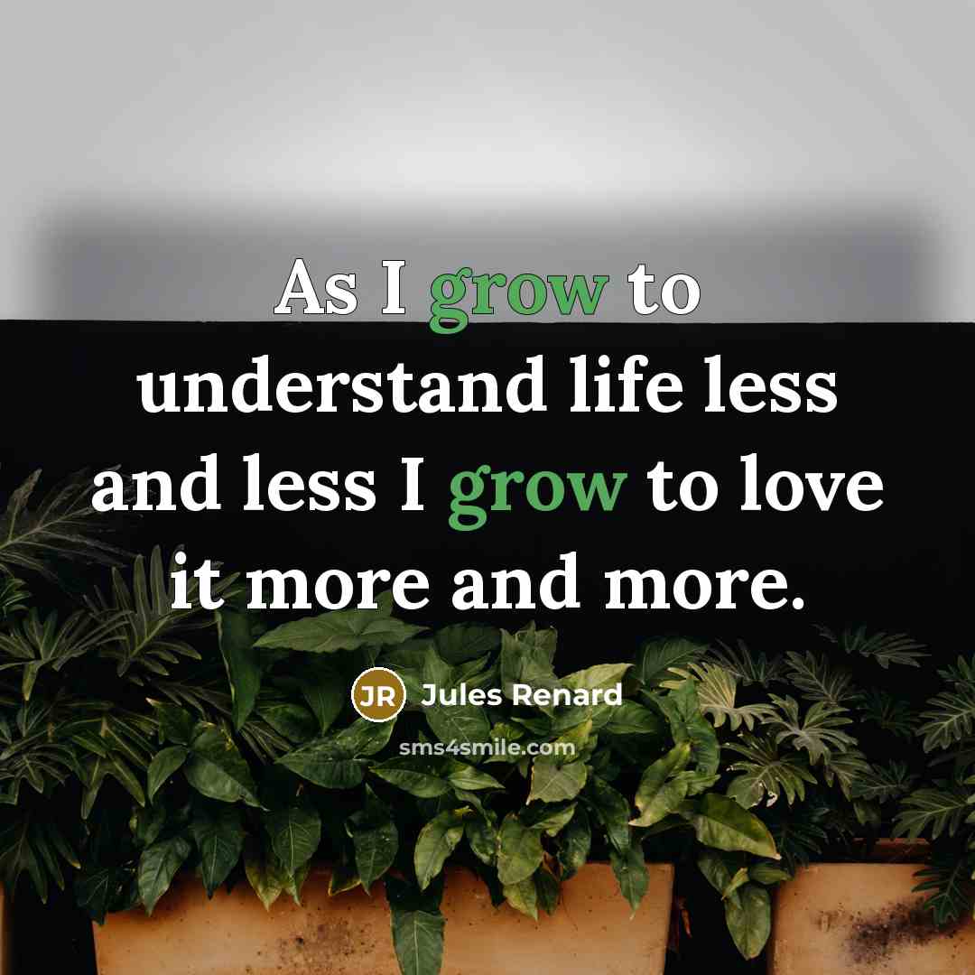 “As I grow to understand life less and less I…” quote by Jules Renard