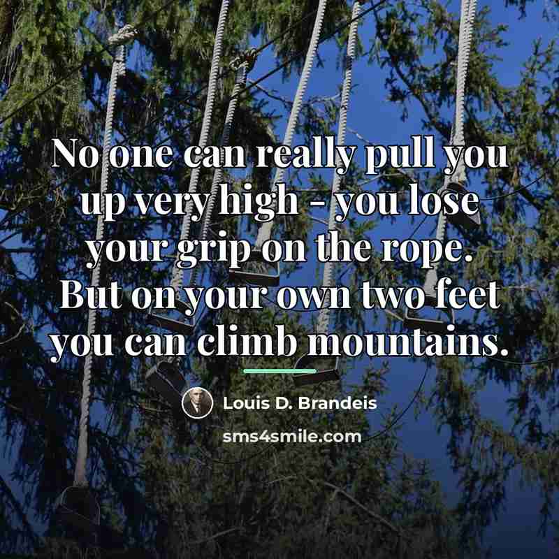 “No one can really pull you up very high -…” quote by Louis D. Brandeis