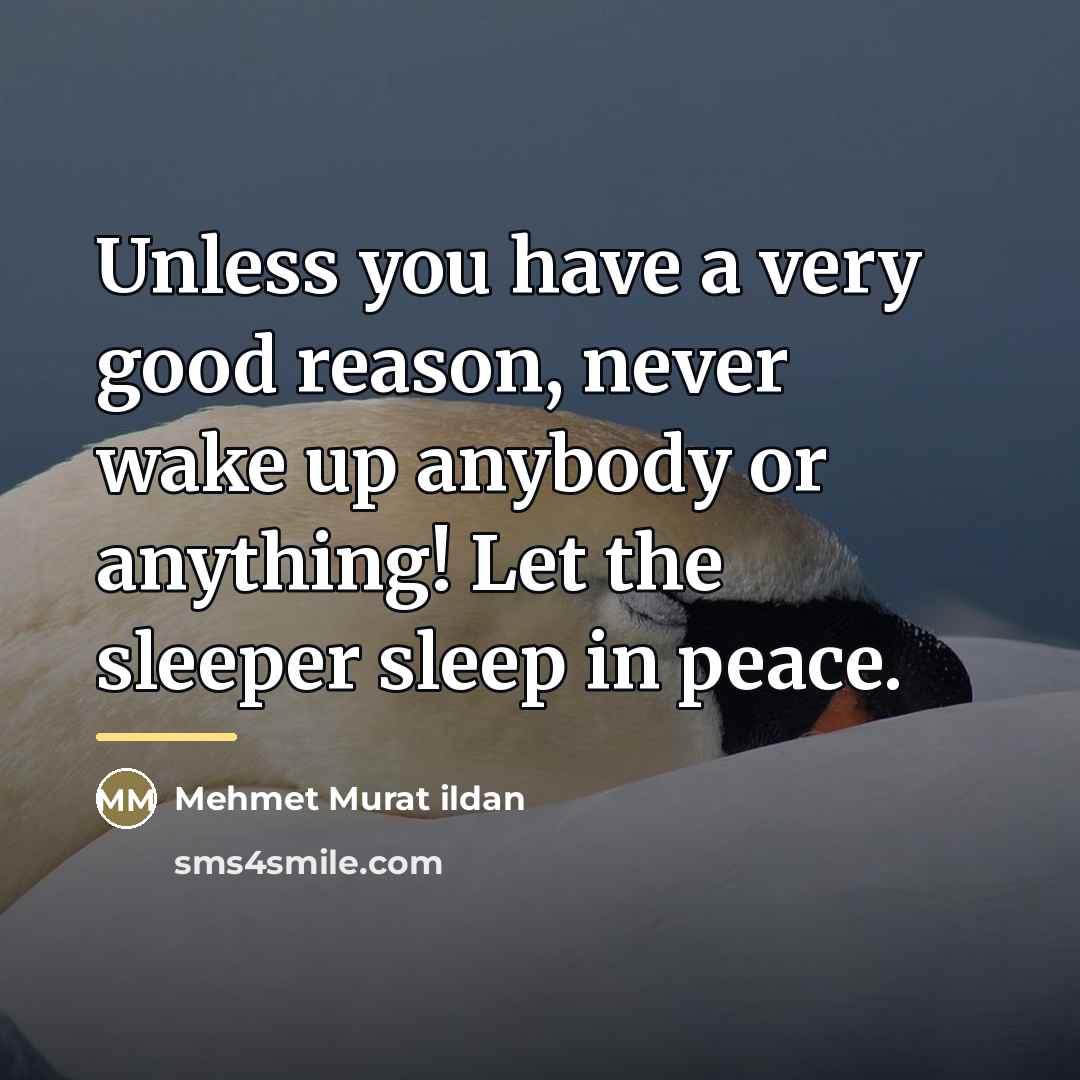 “Unless you have a very good reason, never wake up…” quote by Mehmet Murat Ildan