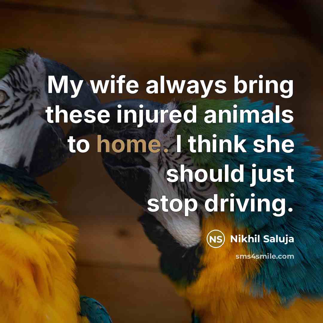 “My wife always bring these injured animals to home. I…” quote by Nikhil Saluja