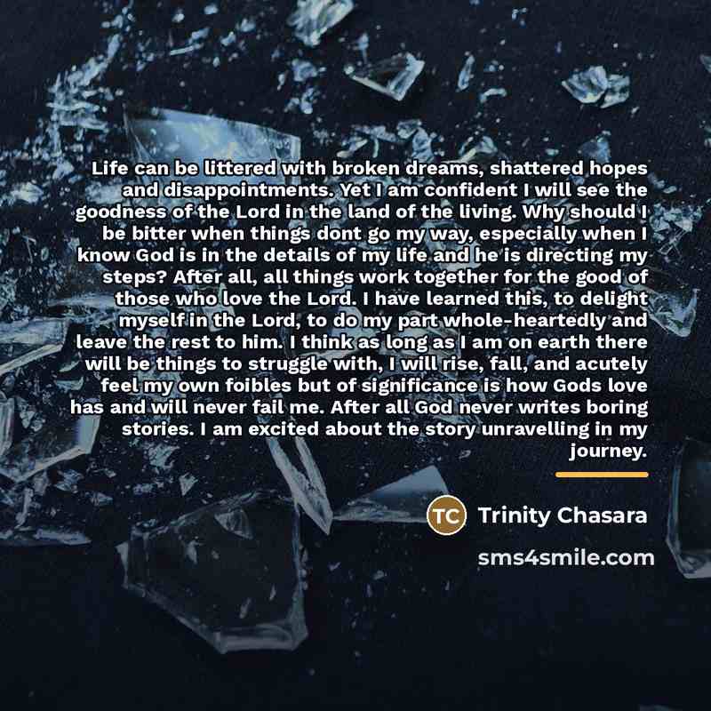 “Life can be littered with broken dreams, shattered hopes and…” quote by Trinity Chasara
