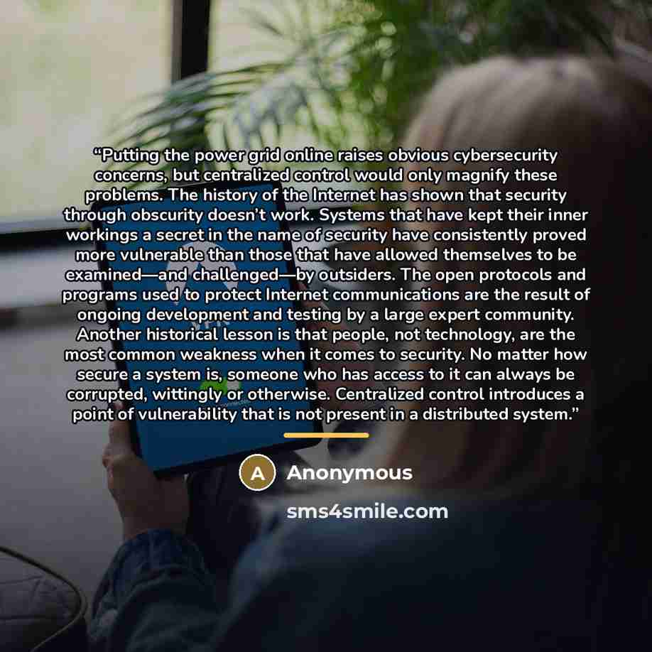 “Putting the power grid online raises obvious cybersecurity concerns, but centralized control would only magnify these problems. The history of the Internet has shown that security through obscurity doesn’t work. Systems that have kept their inner workings a secret in the name of security have…” quote by Anonymous