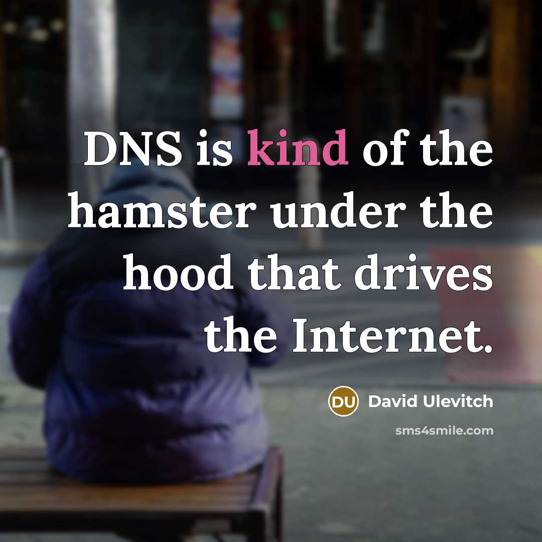 “DNS is kind of the hamster under the hood that…” quote by David Ulevitch