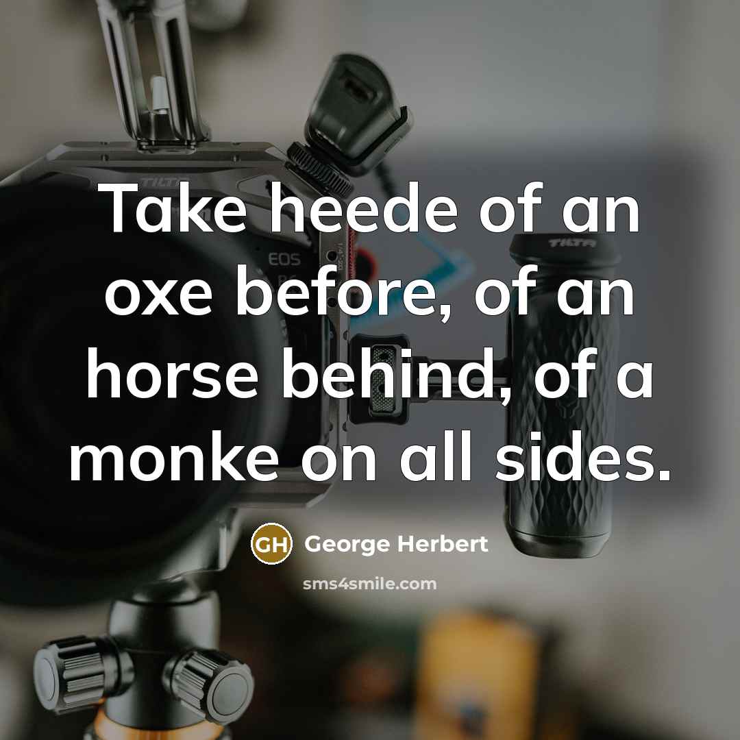 “Take heede of an oxe before, of an horse behind,…” quote by George Herbert