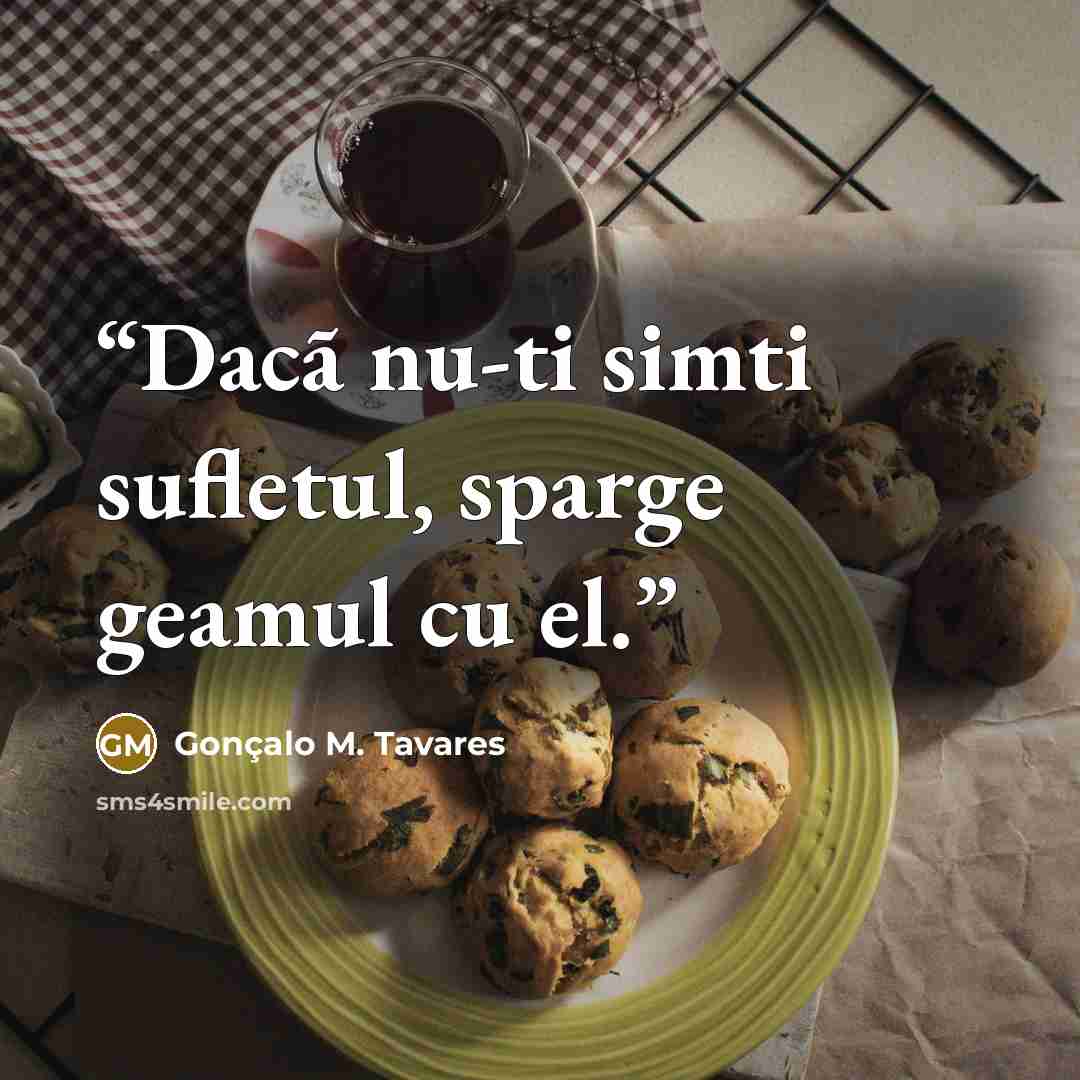 “Dacã nu-ti simti sufletul, sparge geamul cu el.” quote by Gonçalo M. Tavares