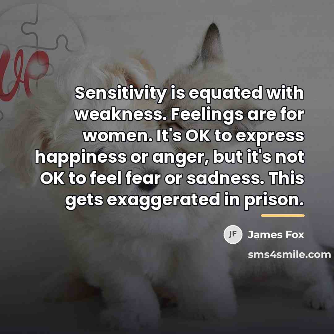 “Sensitivity is equated with weakness. Feelings are for women. It's…” quote by James Fox