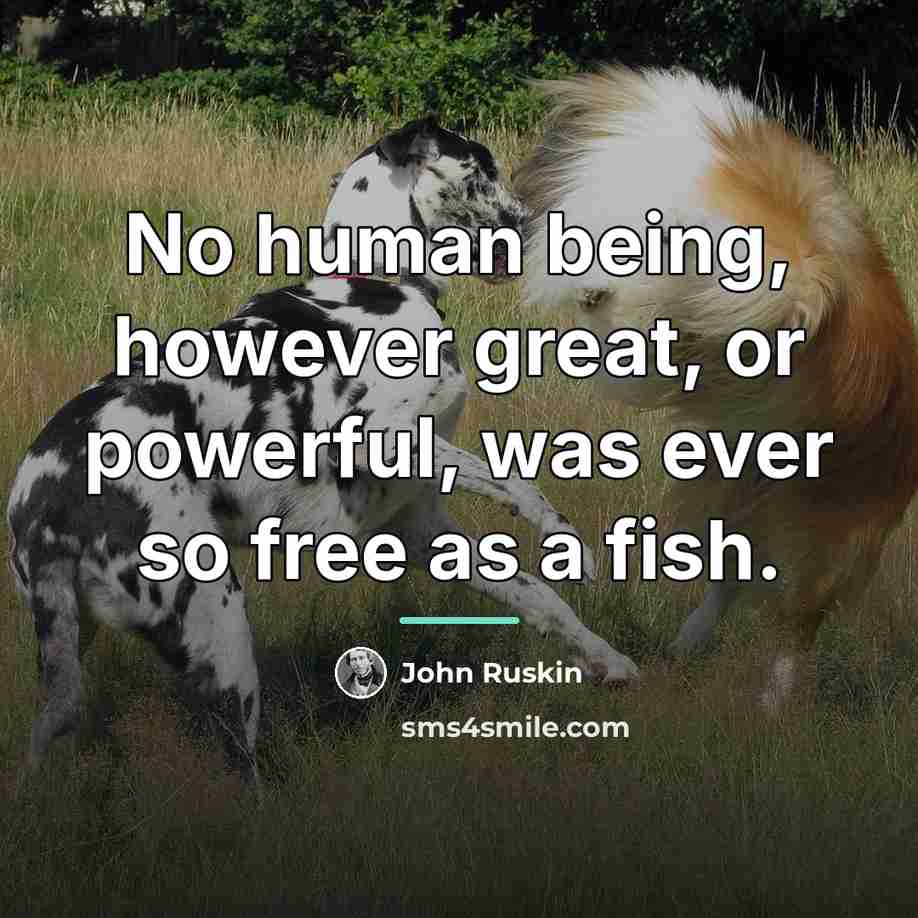“No human being, however great, or powerful, was ever so…” quote by John Ruskin