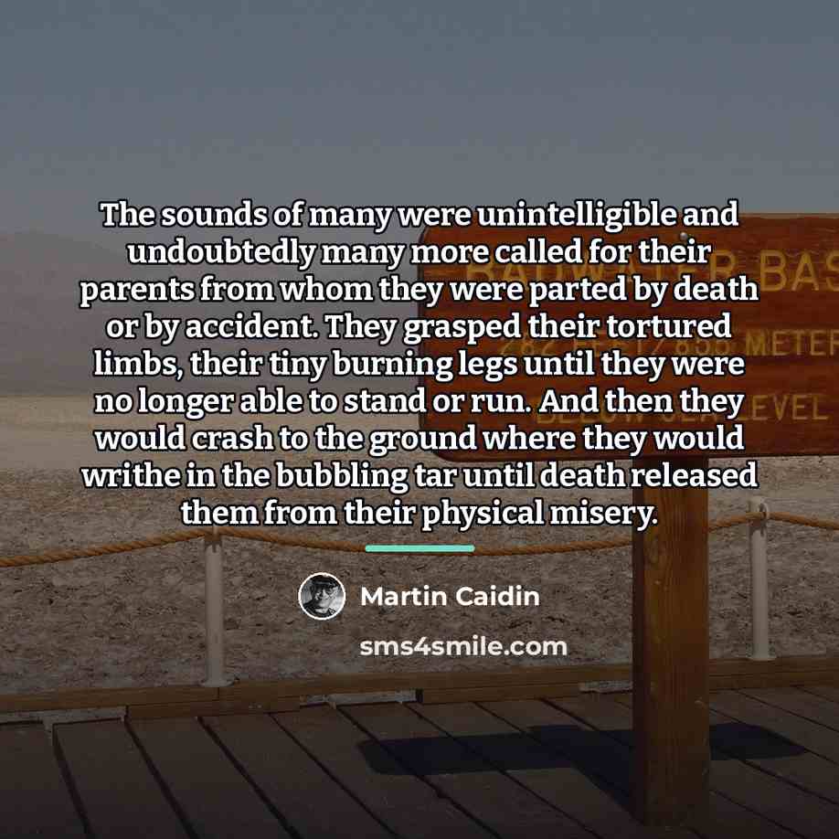 “The sounds of many were unintelligible and undoubtedly many more…” quote by Martin Caidin