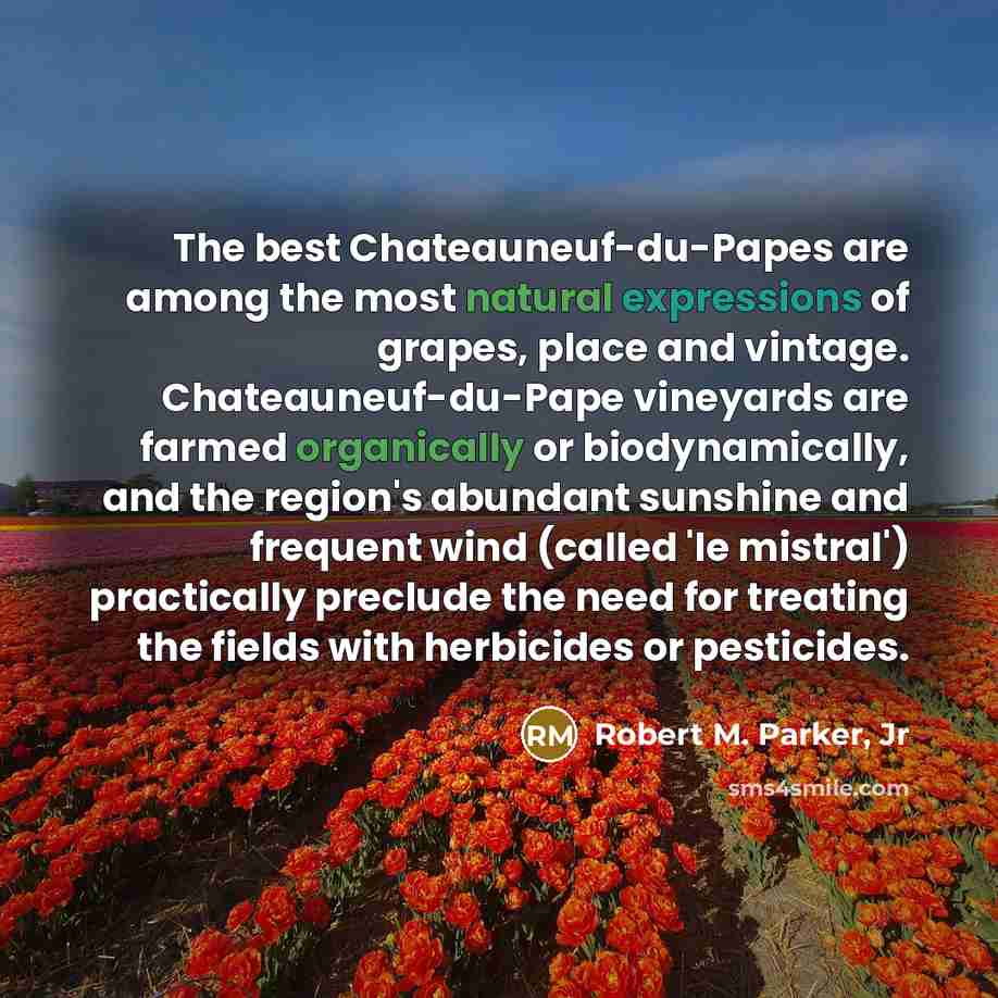 “The best Chateauneuf-du-Papes are among the most natural expressions of…” quote by Robert M. Parker, Jr