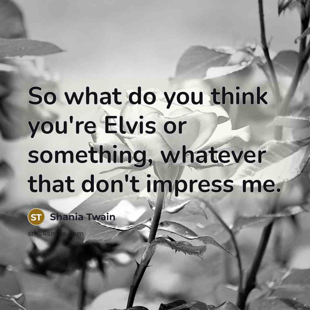 “So what do you think you're Elvis or something, whatever…” quote by Shania Twain
