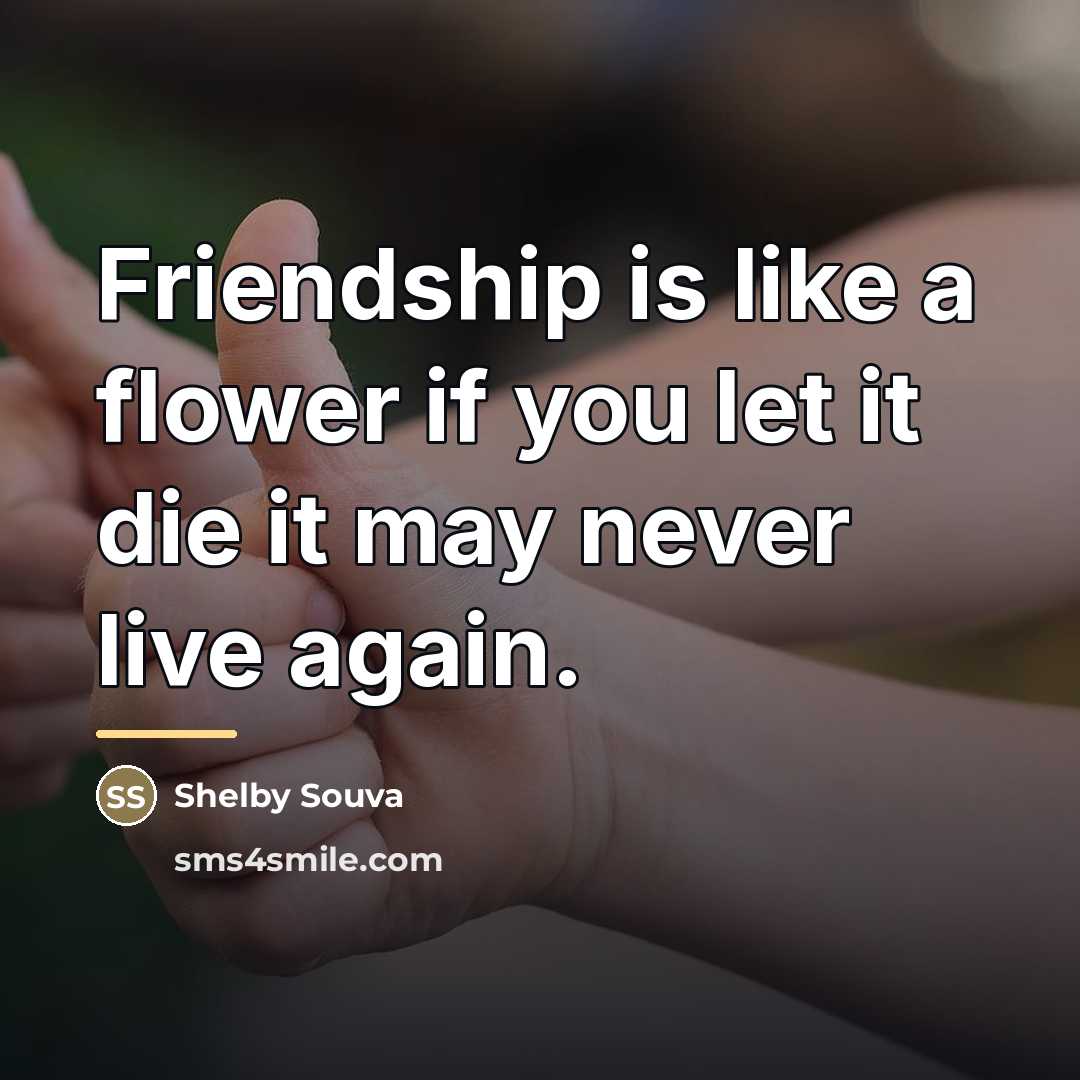 “Friendship is like a flower if you let it die…” quote by Shelby Souva