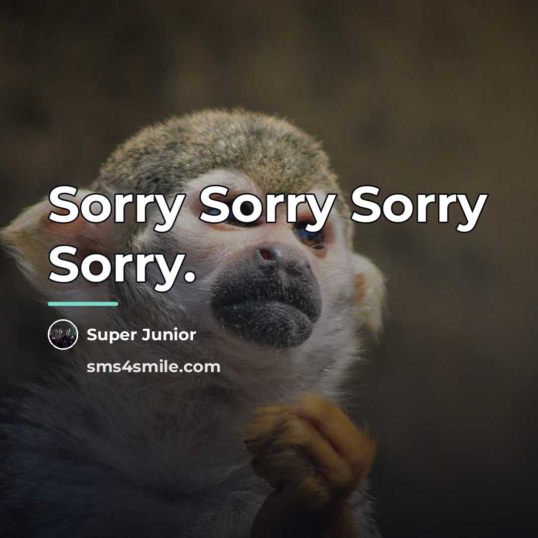 “Sorry Sorry Sorry Sorry.…” quote by Super Junior