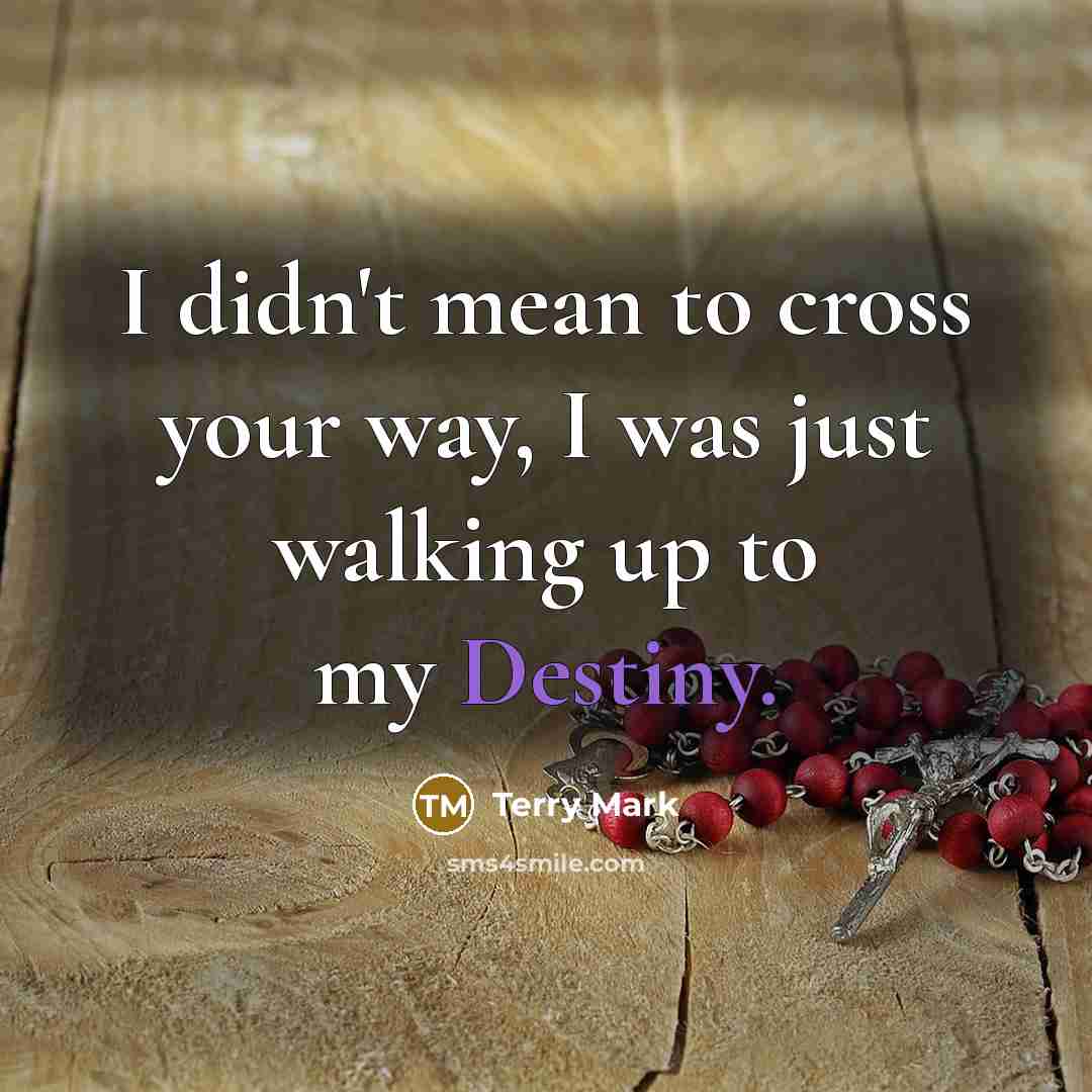 “I didn't mean to cross your way, I was just…” quote by Terry Mark