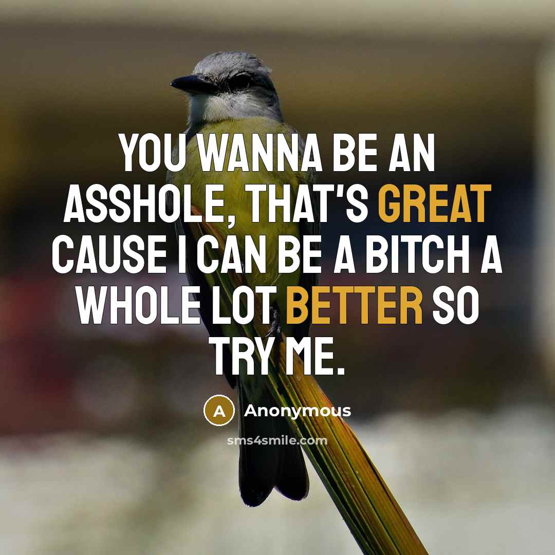 “You wanna be an asshole, that's great cause I can be a bitch a whole lot better so try me.” quote by Anonymous
