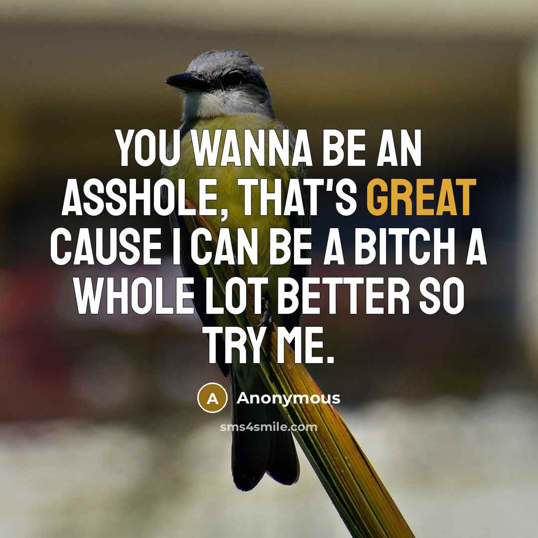 “You wanna be an asshole, that's great cause I can…” quote by Anonymous