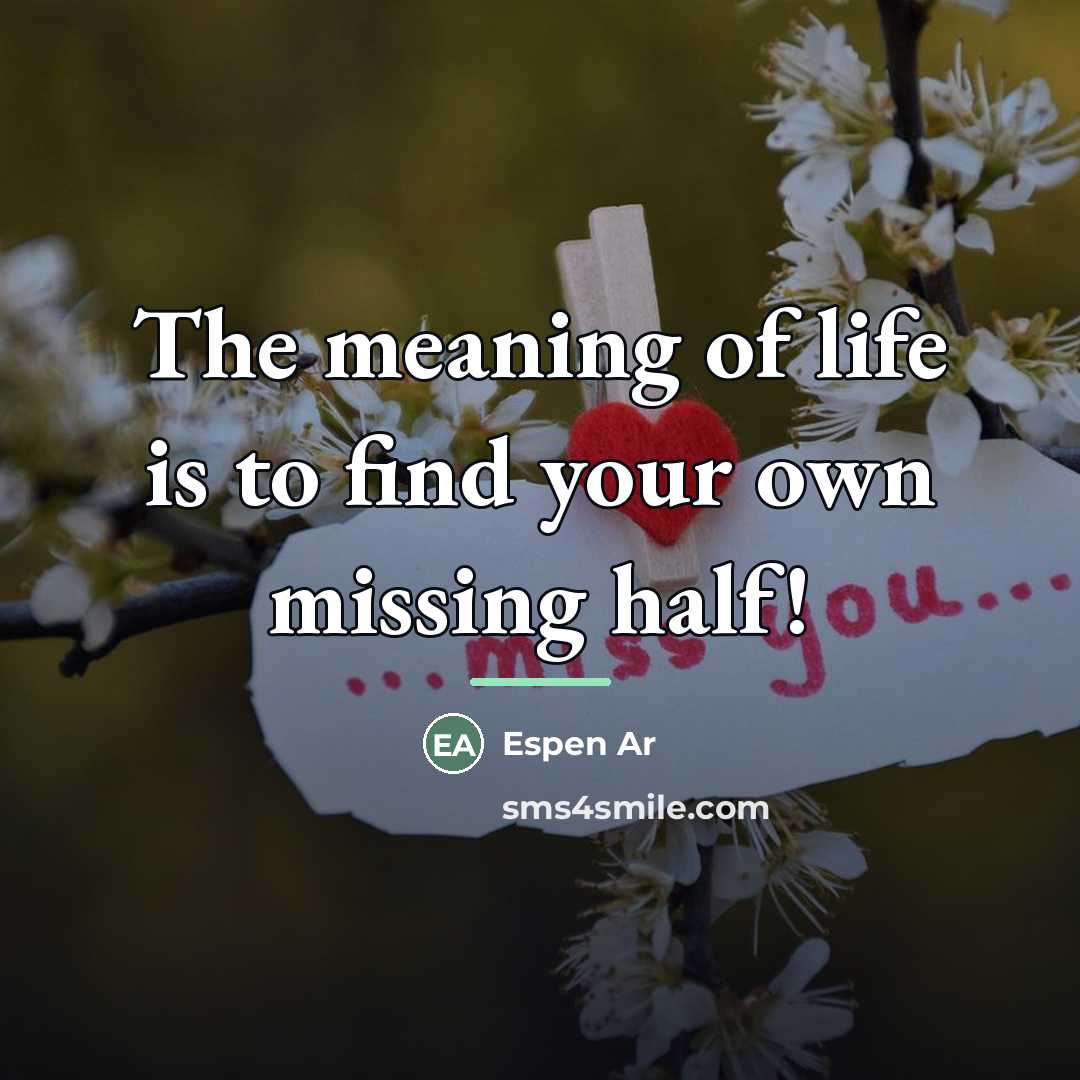 “The meaning of life is to find your own missing…” quote by Espen Ar