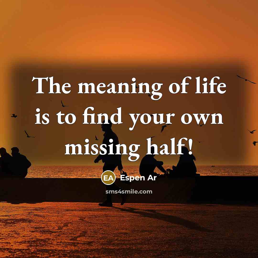 “The meaning of life is to find your own missing half!” quote by Espen Ar