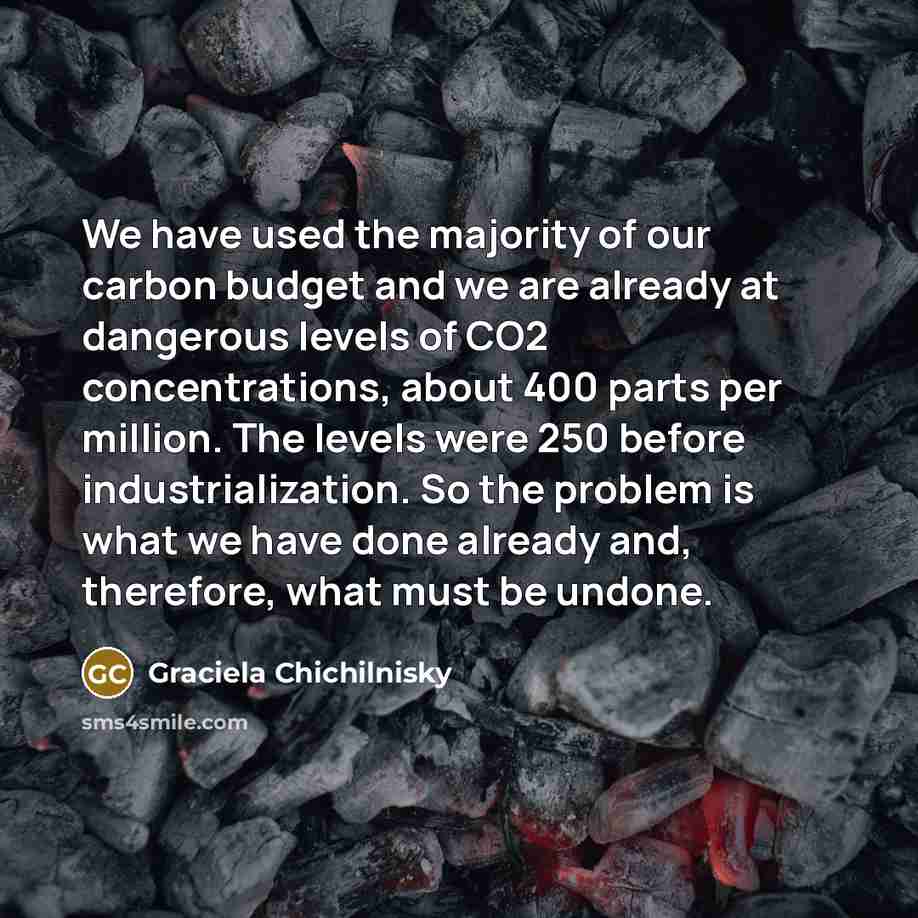 “We have used the majority of our carbon budget and…” quote by Graciela Chichilnisky