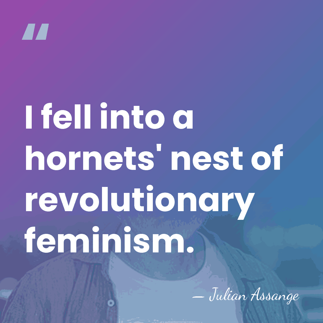 I fell into a hornets' nest of revolutionary feminism. - Julian Assange