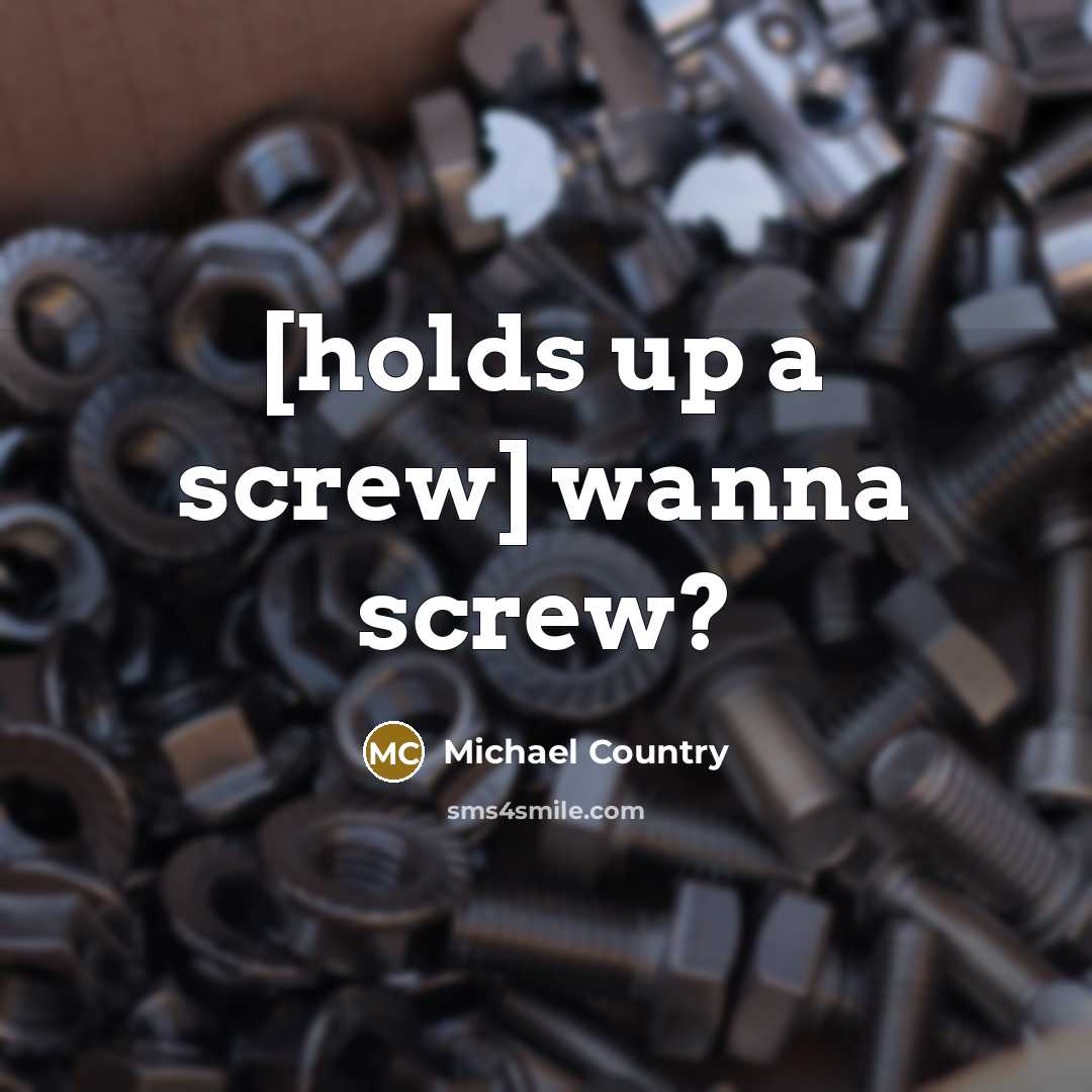 “[holds up a screw] wanna screw?” quote by Michael Country