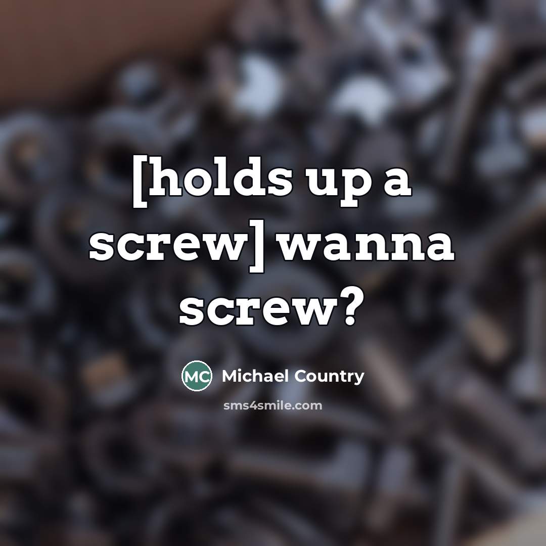 “[holds up a screw] wanna screw?…” quote by Michael Country