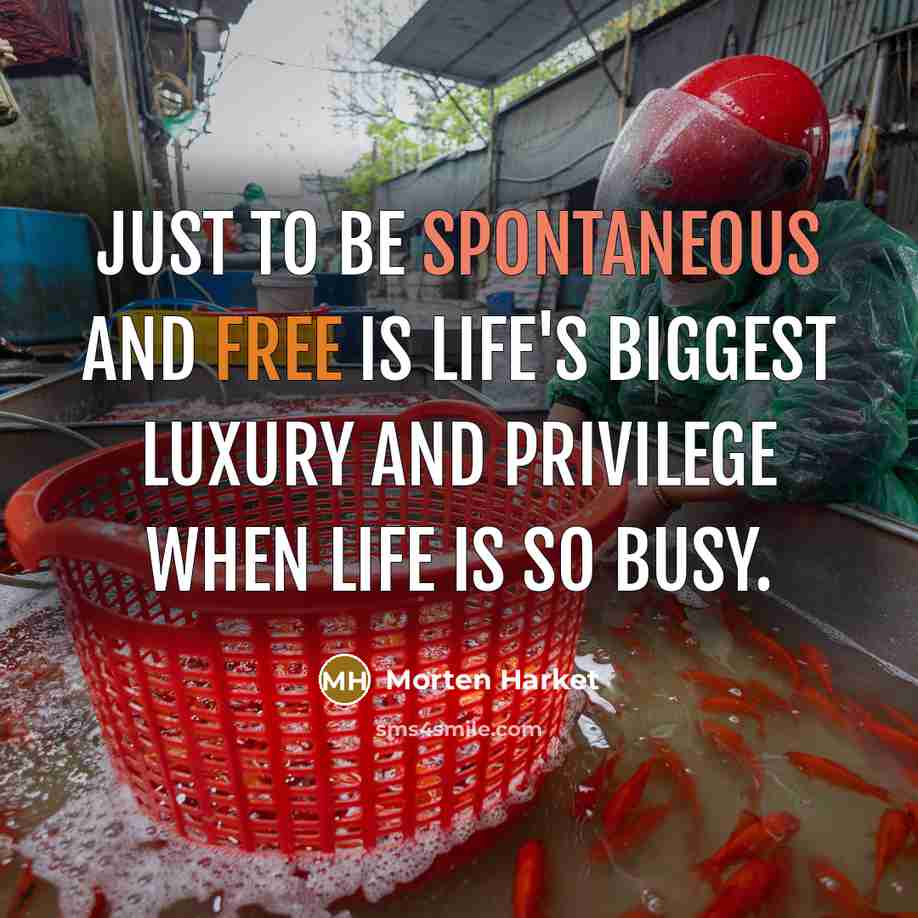“Just to be spontaneous and free is life's biggest luxury…” quote by Morten Harket
