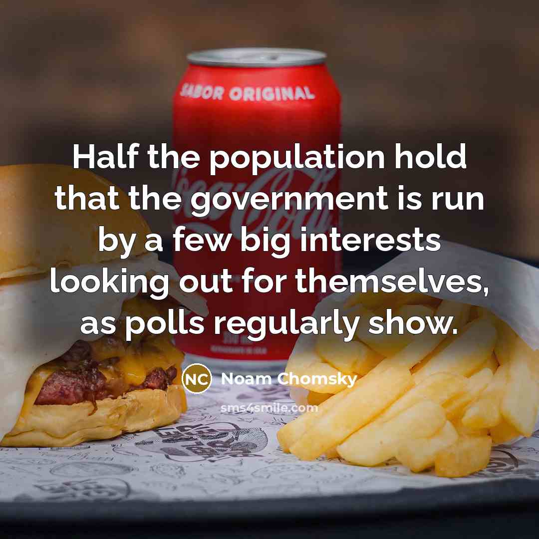 “Half the population hold that the government is run by…” quote by Noam Chomsky