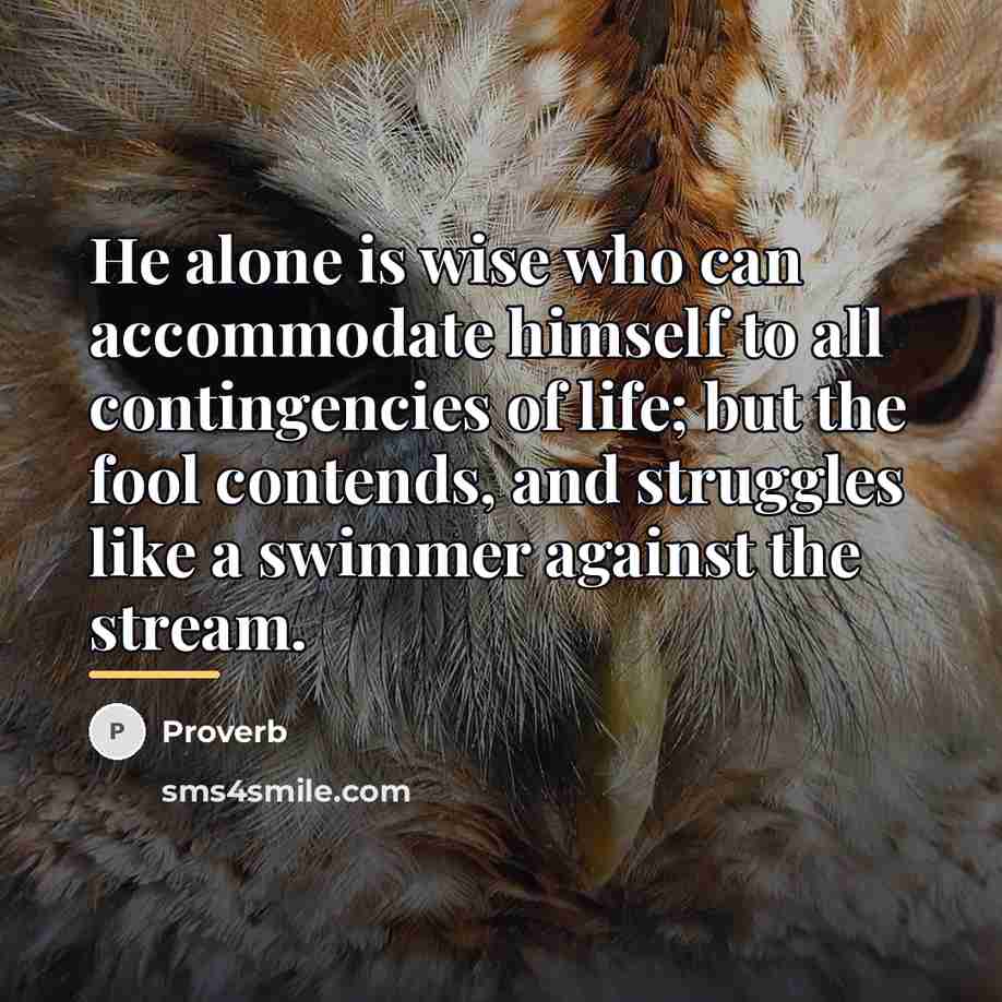 “He alone is wise who can accommodate himself to all…” quote by Proverb