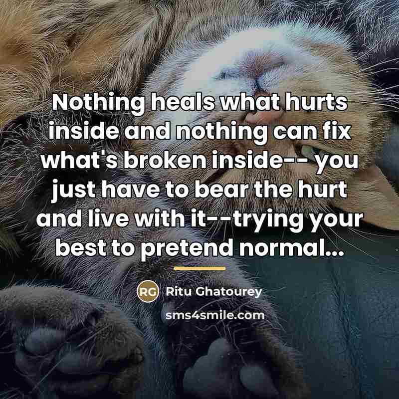 “Nothing heals what hurts inside and nothing can fix what's…” quote by Ritu Ghatourey