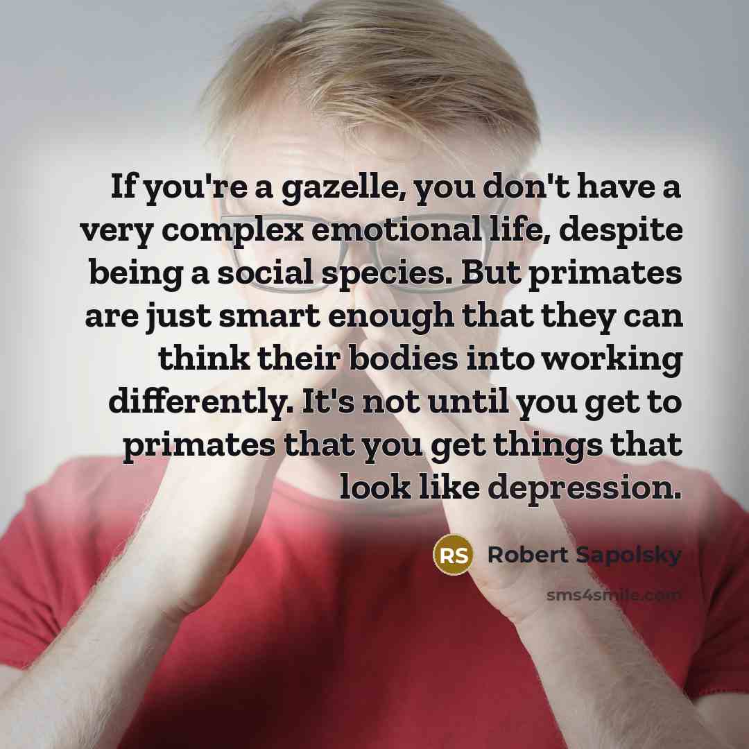 “If you're a gazelle, you don't have a very complex…” quote by Robert Sapolsky