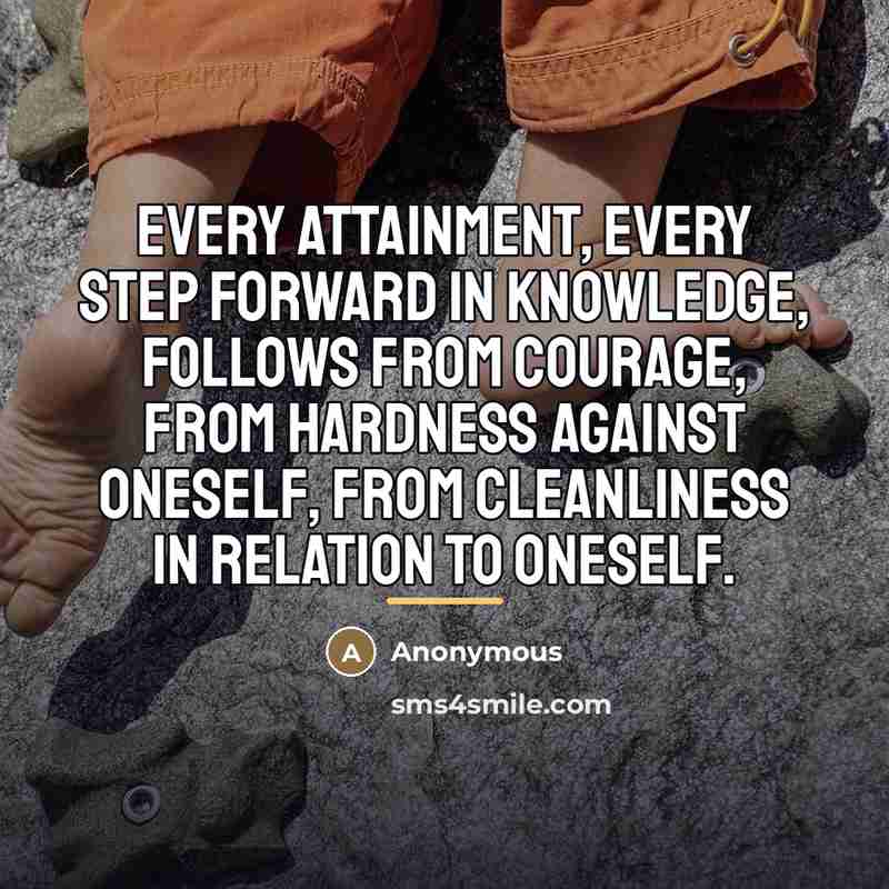 “Every attainment, every step forward in knowledge, follows from courage,…” quote by Anonymous
