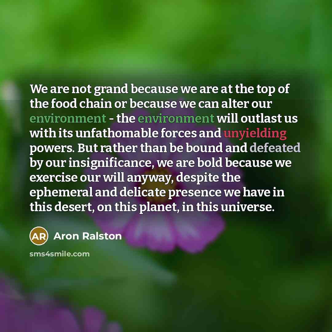 “We are not grand because we are at the top…” quote by Aron Ralston