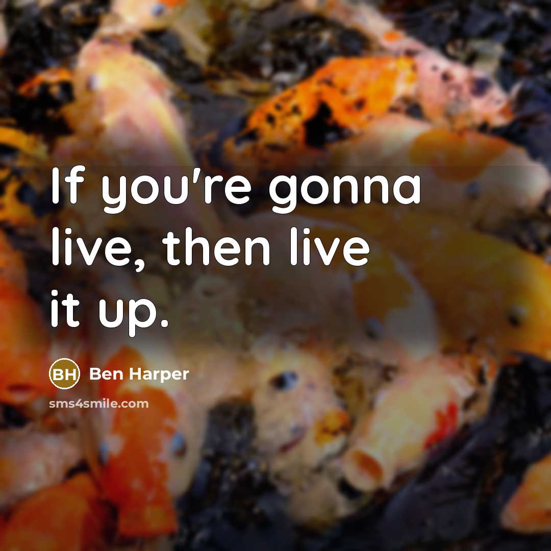 “If you're gonna live, then live it up.…” quote by Ben Harper